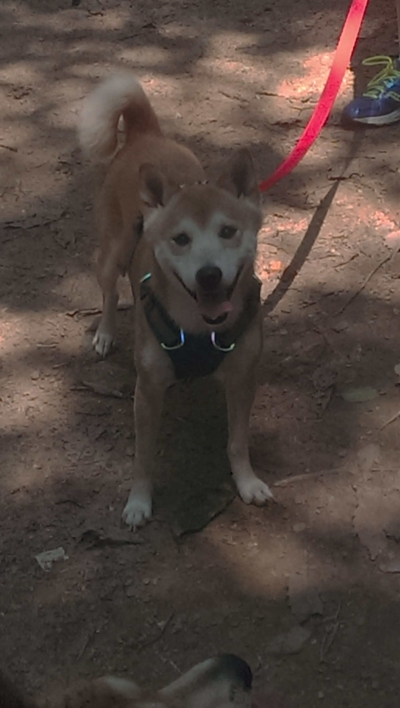 爱游戏体育官方在线-坦克世界“铁血争霸”全国锦标赛高潮迭起，铁血对战